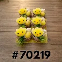 70219 pintinhos (1).webp