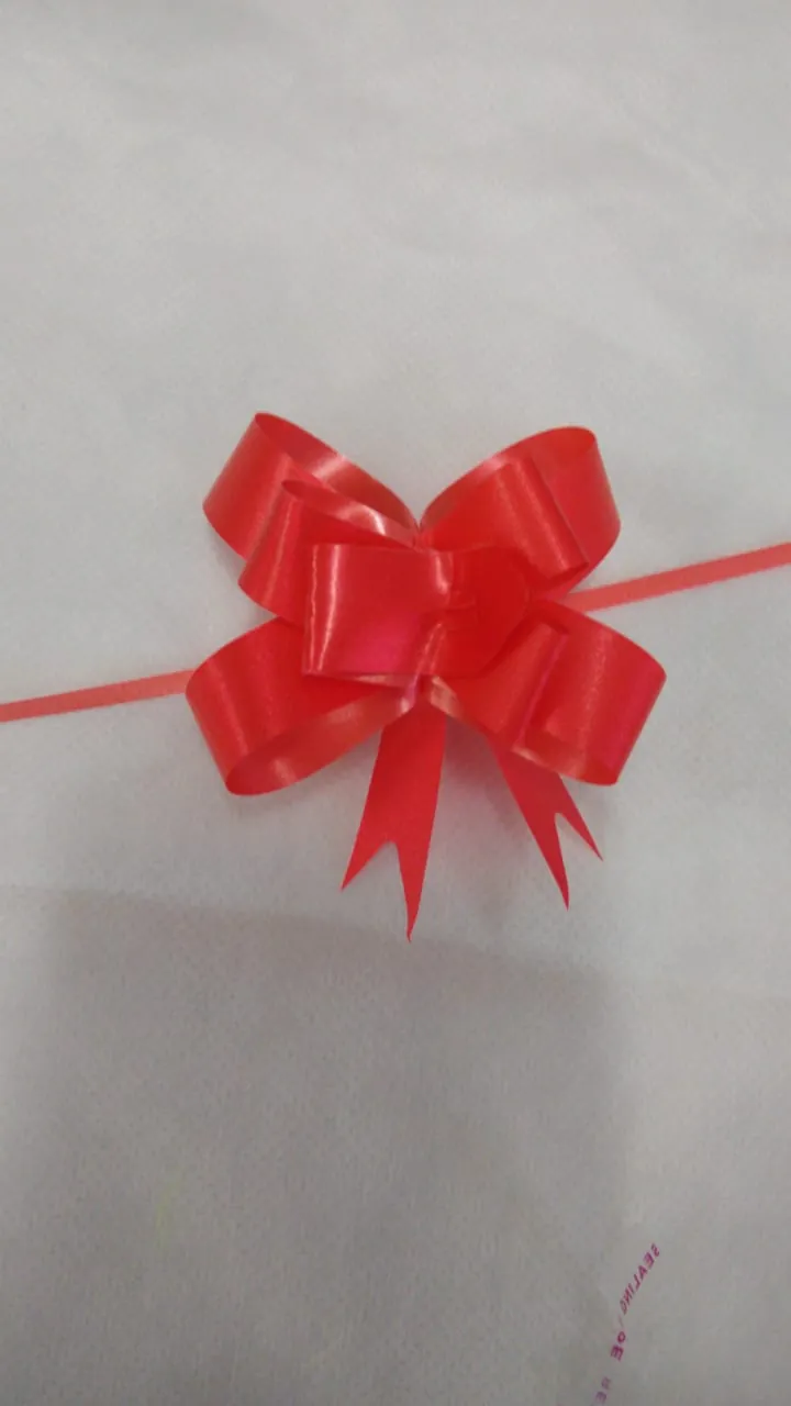 LAÇO DE PRESENTE VERMELHO 17mm