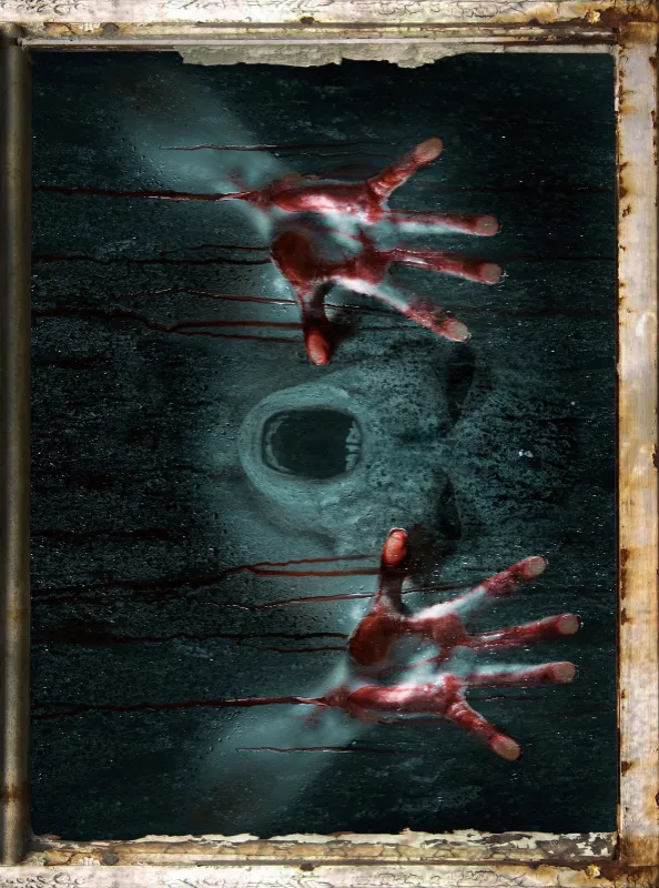 ADESIVO QUADRO 2 MÃOS