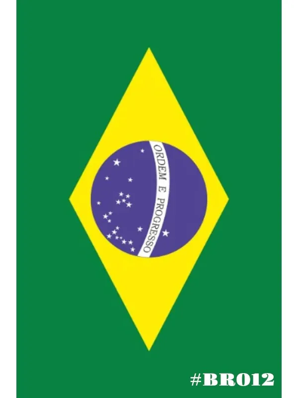 BANDEIRA DO BRASIL 288