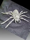 ARANHA DE ESQUELETO DE PLÁSTICO