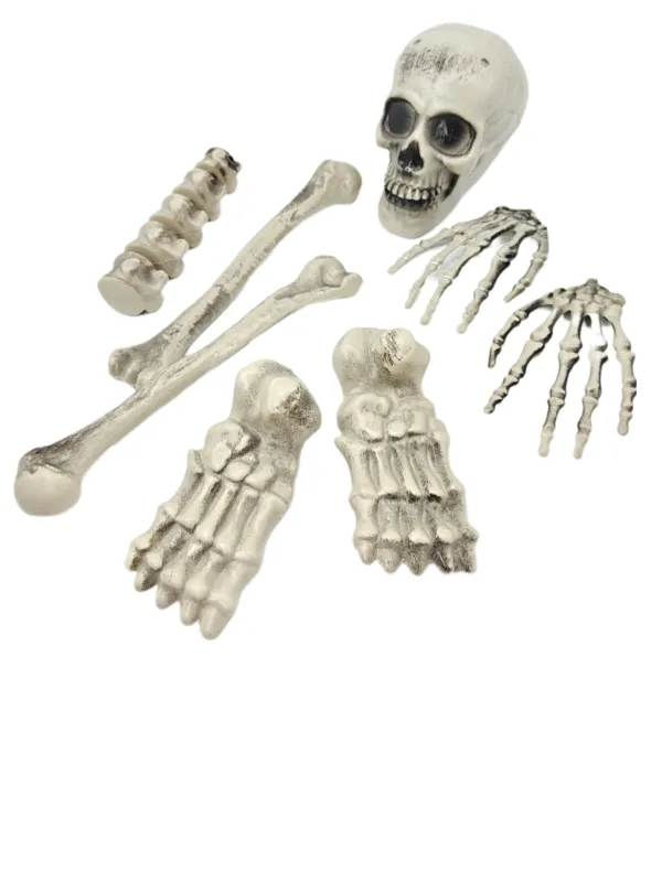 KIT ESQUELETO DESMONTADO 8PÇS