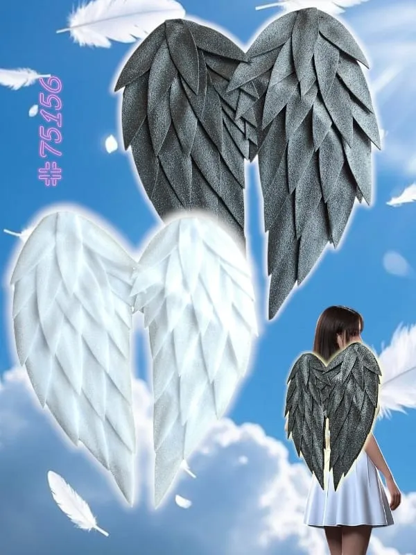 ASA DE ANJO DE EVA M