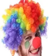 [70573] PERUCA PALHAÇO